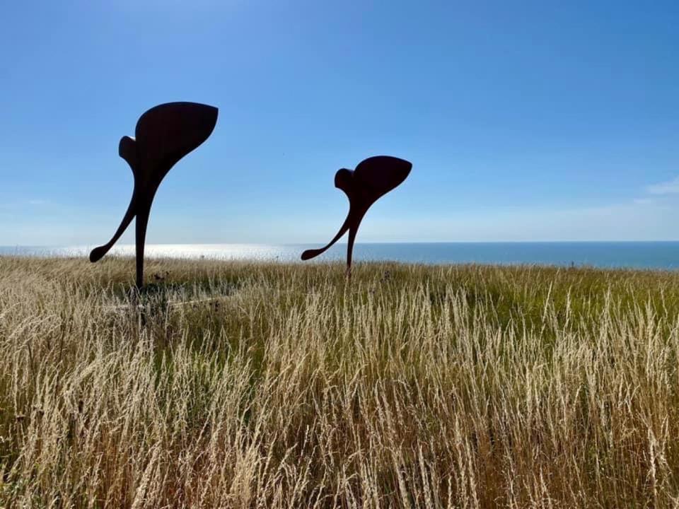 Plage A 50M Appartement Reves De Mer Villa Les Bains De Mers Zewnętrze zdjęcie