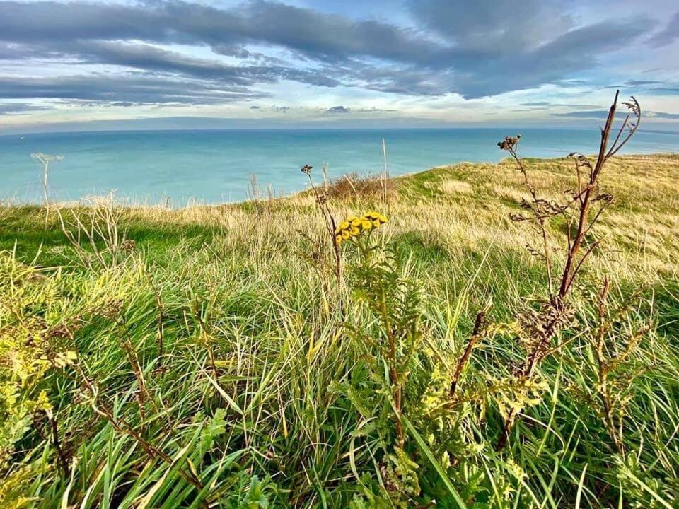 Plage A 50M Appartement Reves De Mer Villa Les Bains De Mers Zewnętrze zdjęcie