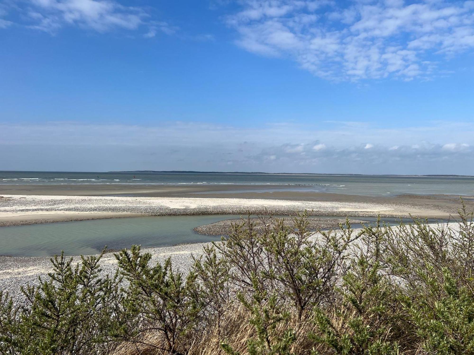 Plage A 50M Appartement Reves De Mer Villa Les Bains De Mers Zewnętrze zdjęcie